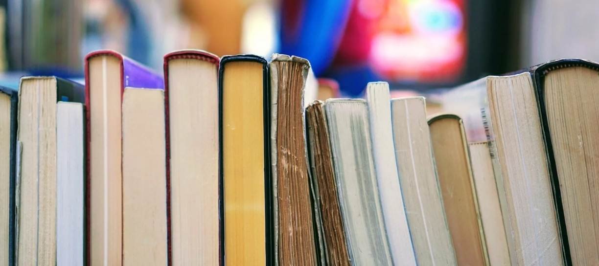 Melhores livros Top Banners Blog (2)